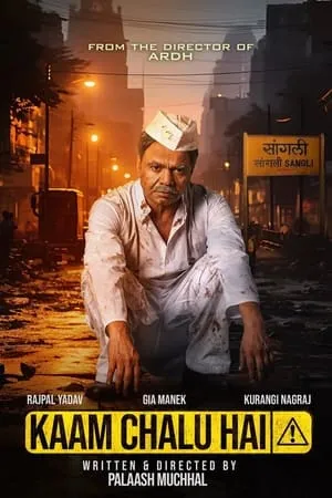 Filmyhit Kaam Chalu Hai 2024 Hindi Full Movie WEB-DL 480p 720p 1080p Download