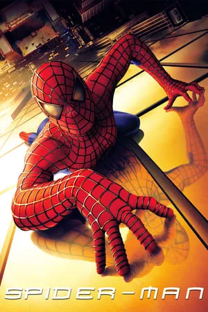 Filmyhit Spider-Man 2002 Hindi+English Full Movie BluRay 480p 720p 1080p Download